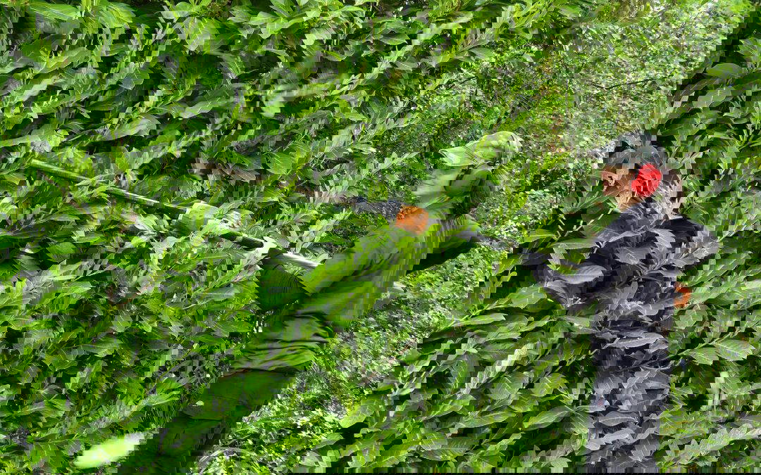 Creating Your Perfect Outdoor Space: Expert Garden Care Tips from Wilmslow Gardeners