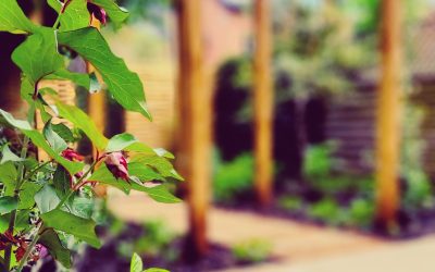 Explore the Best Landscaping Ideas for Homes in Altrincham